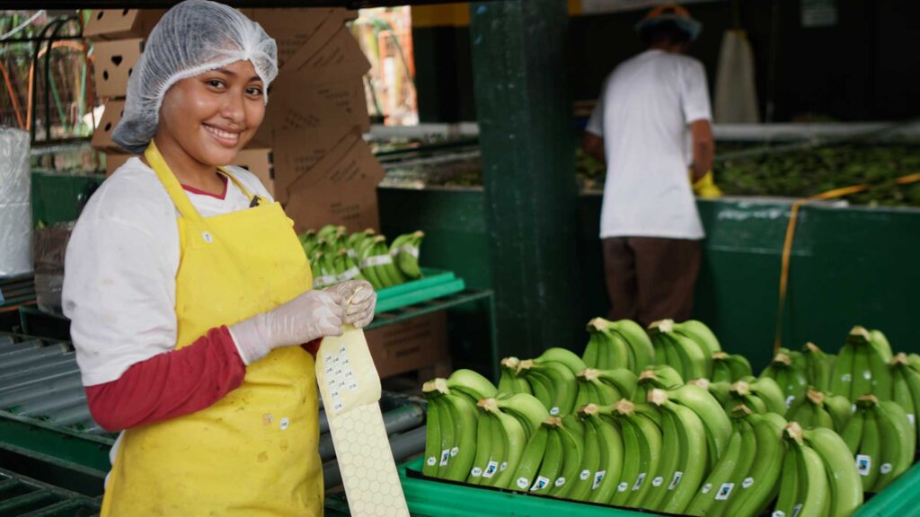 For our export business, we have transitioned from conventional to organic  bananas”